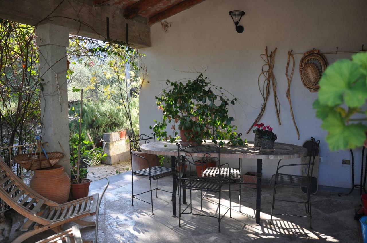 אוציירי Casa D' Artista B&B מראה חיצוני תמונה