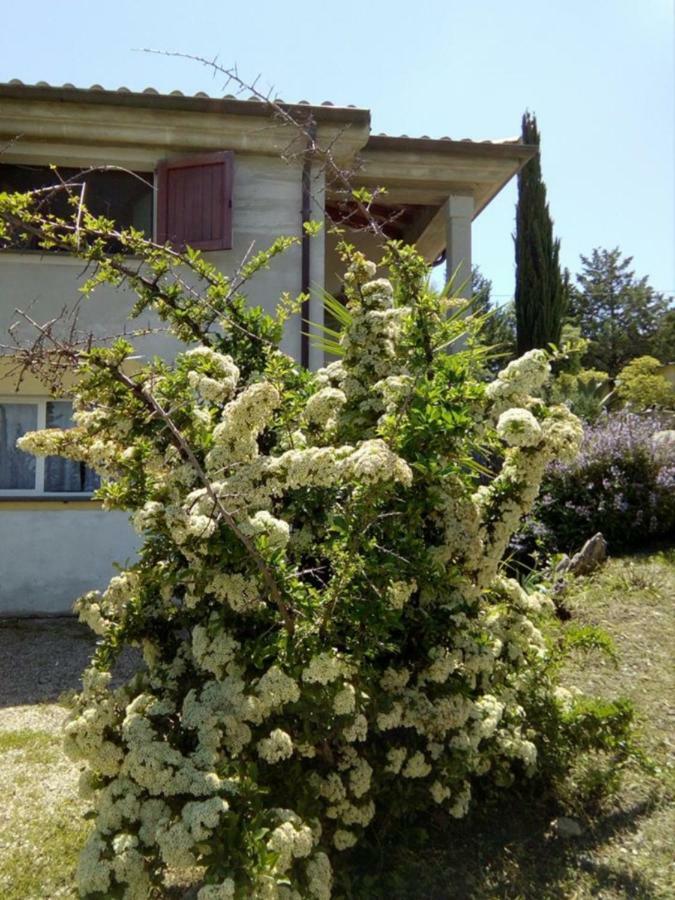 אוציירי Casa D' Artista B&B מראה חיצוני תמונה