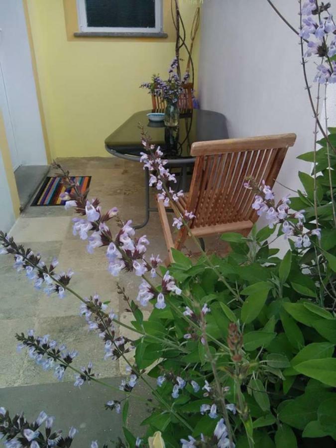 אוציירי Casa D' Artista B&B מראה חיצוני תמונה