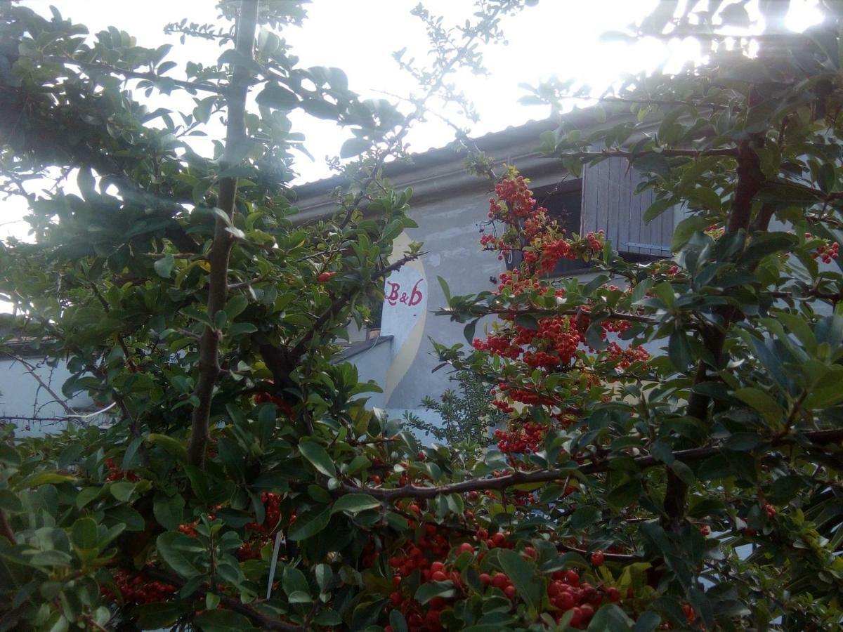 אוציירי Casa D' Artista B&B מראה חיצוני תמונה